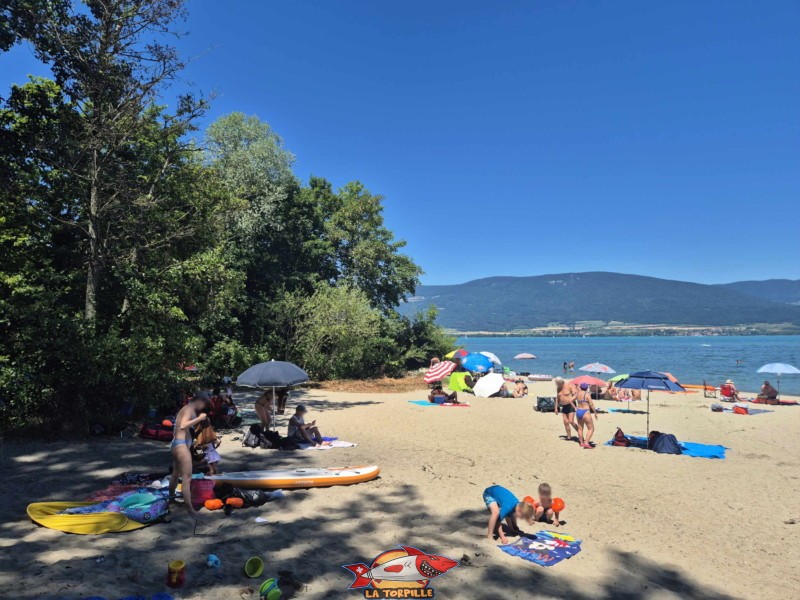 côté ouest de la plage des Pins d'Yvonand