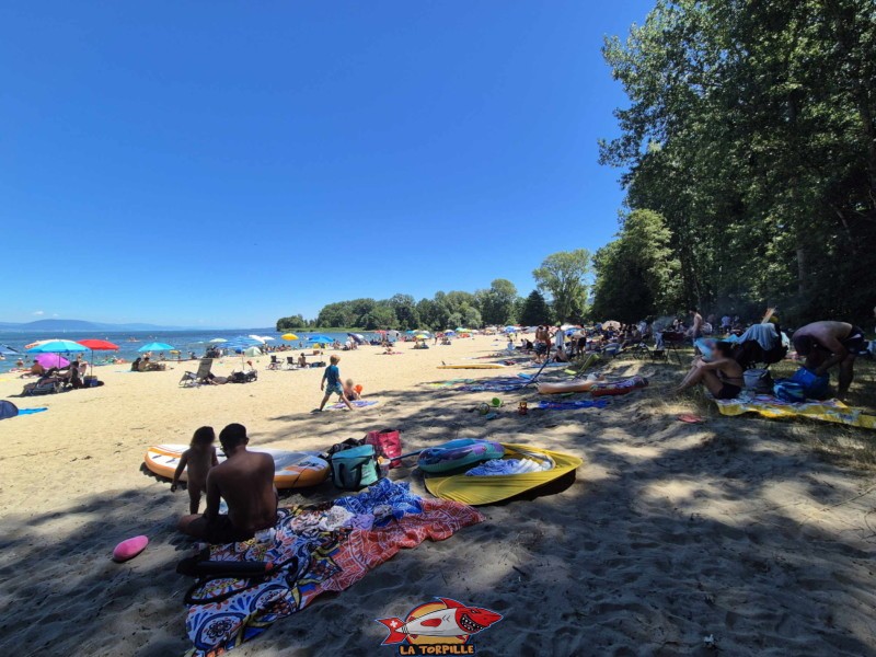 côté ouest de la plage des Pins d'Yvonand