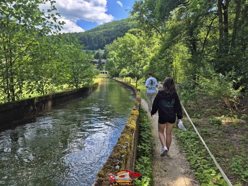 Un canal parallèle à la Suze