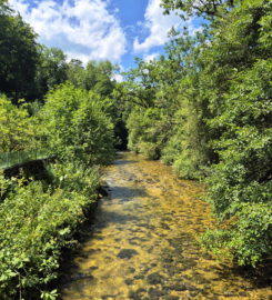 ⛰️ Gorges du Taubenloch – Bienne