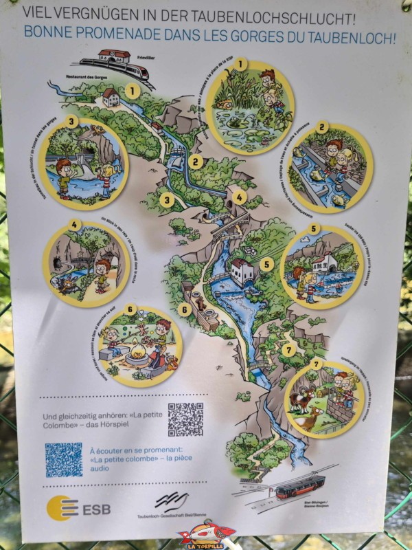 Les différentes curiosités que l'on peut apercevoir pendant la descente le long des gorges. Les gorges du Taubenloch. Bienne.