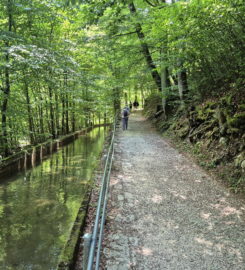 ⛰️ Gorges du Taubenloch – Bienne