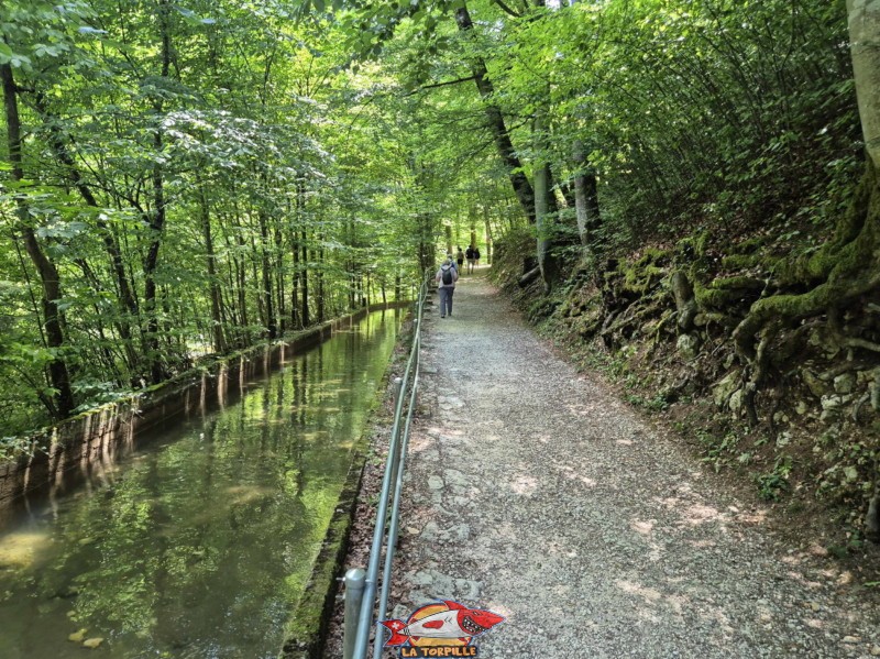 Rive droite I. Les gorges du Taubenloch. Bienne.