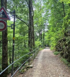 ⛰️ Gorges du Taubenloch – Bienne
