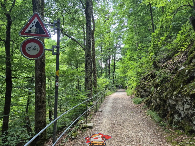 Un panneau qui indique que les vélos sont interdits dans les gorges du Taubenloch. Les gorges du Taubenloch. Bienne.