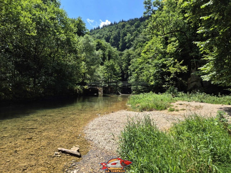 L'accès possible, au début du parcours, aux berges de la Suze. Les gorges du Taubenloch. Bienne.