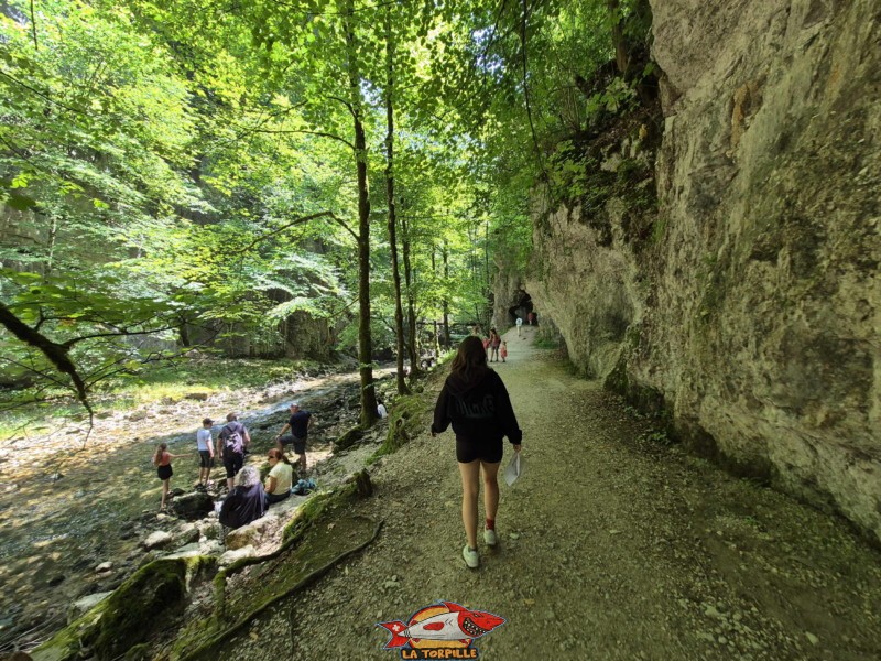 Les berges de la Suze. Les gorges du Taubenloch. Bienne.