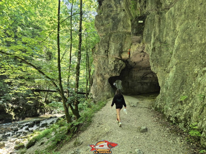 Le tunnel creusé dans le rocher. Les gorges du Taubenloch. Bienne.