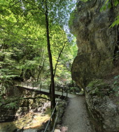 ⛰️ Gorges du Taubenloch – Bienne