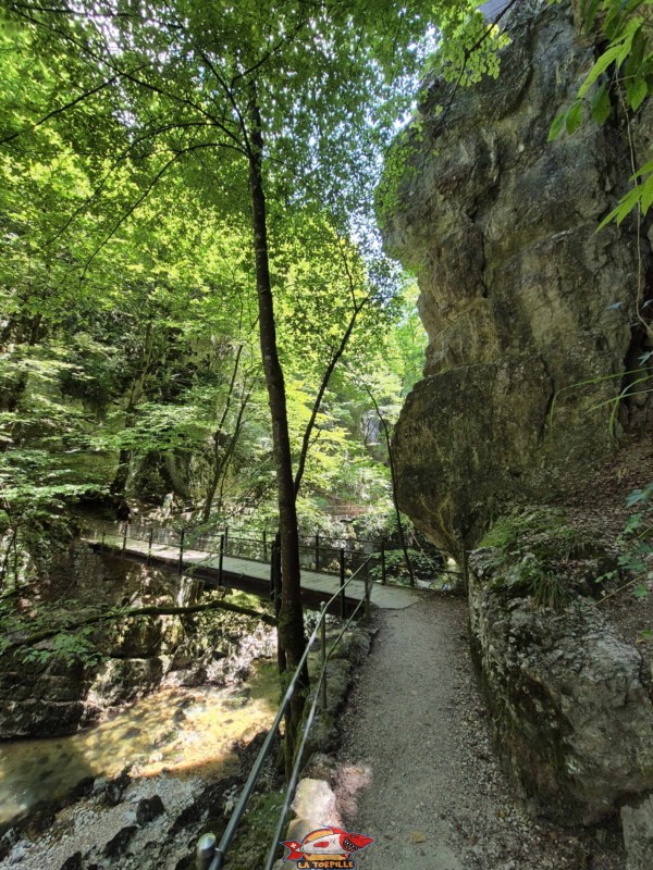 La vue vers l'arrière sur le pont qui permet de passer sur la rive gauche. Rive gauche I. Les gorges du Taubenloch. Bienne.