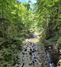 ⛰️ Gorges du Taubenloch – Bienne