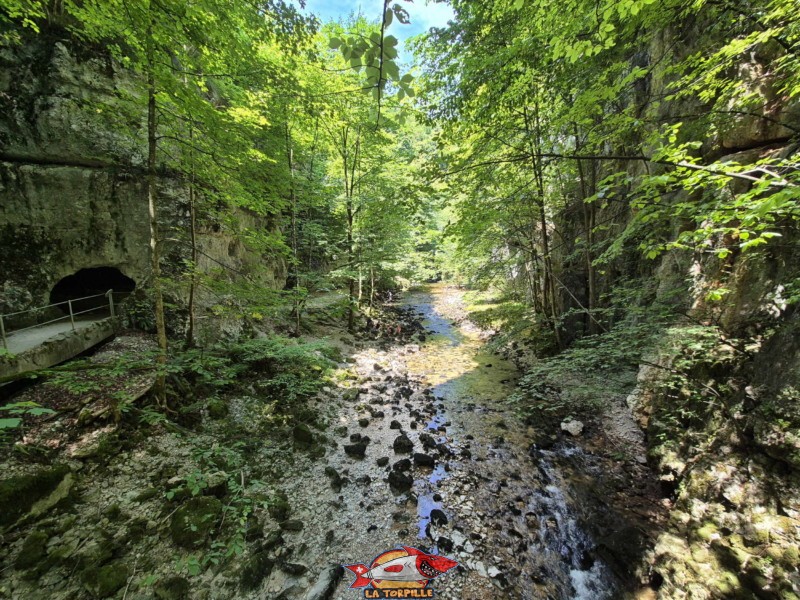 La vue vers l'amont depuis la passerelle. Rive gauche I. Les gorges du Taubenloch. Bienne.