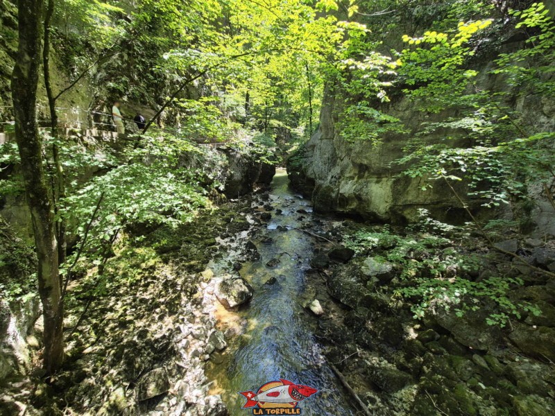 La vue vers l'aval depuis la passerelle. Rive gauche I. Les gorges du Taubenloch. Bienne.
