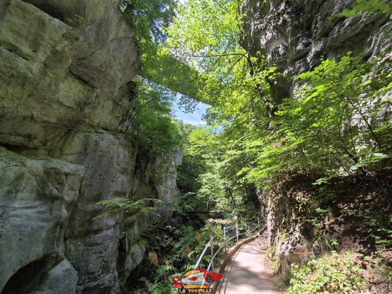 La vue vers l'arrière. On aperçoit la voie montant du pont routier de la route Bienne - Delémont. Rive gauche I. Les gorges du Taubenloch. Bienne.