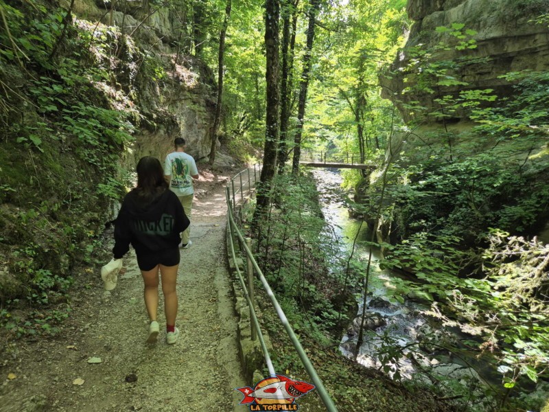 Rive gauche I. Les gorges du Taubenloch. Bienne.