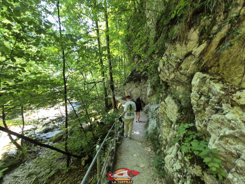 Rive droite IIa. Les gorges du Taubenloch. Bienne.