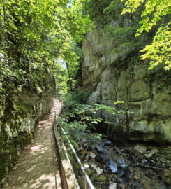 ⛰️ Gorges du Taubenloch – Bienne
