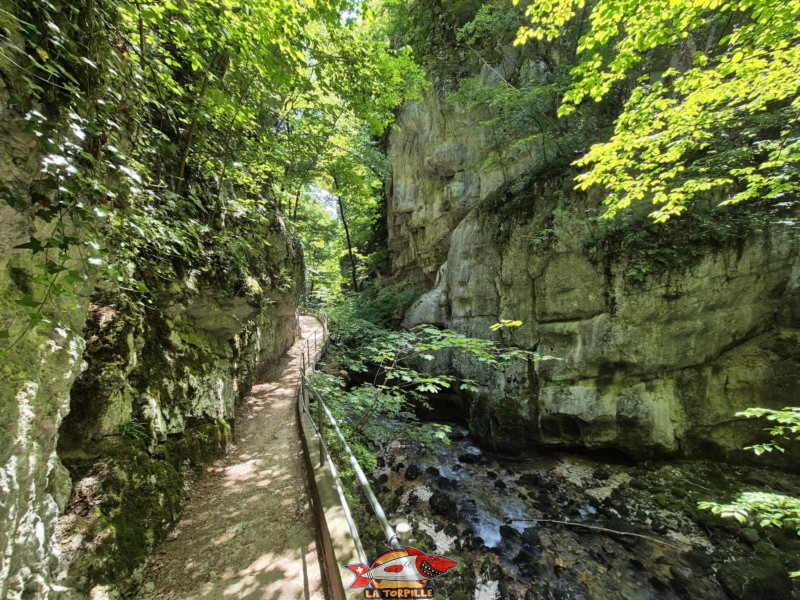 Rive gauche I. Les gorges du Taubenloch. Bienne.