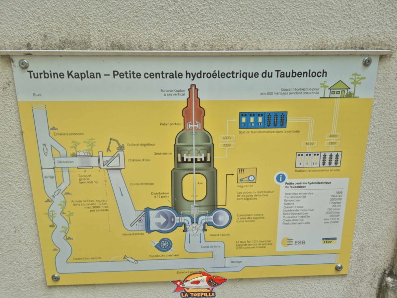 Les caractéristiques de la centrale qui produit de l'électricité grâce à une turbine Kaplan. Les gorges du Taubenloch. Bienne.