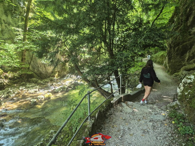 Rive droite IIb. Les gorges du Taubenloch. Bienne.