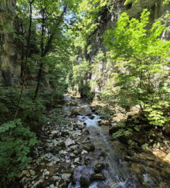 ⛰️ Gorges du Taubenloch – Bienne