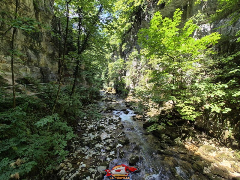 La vue aval depuis le pont. Les gorges du Taubenloch. Bienne.