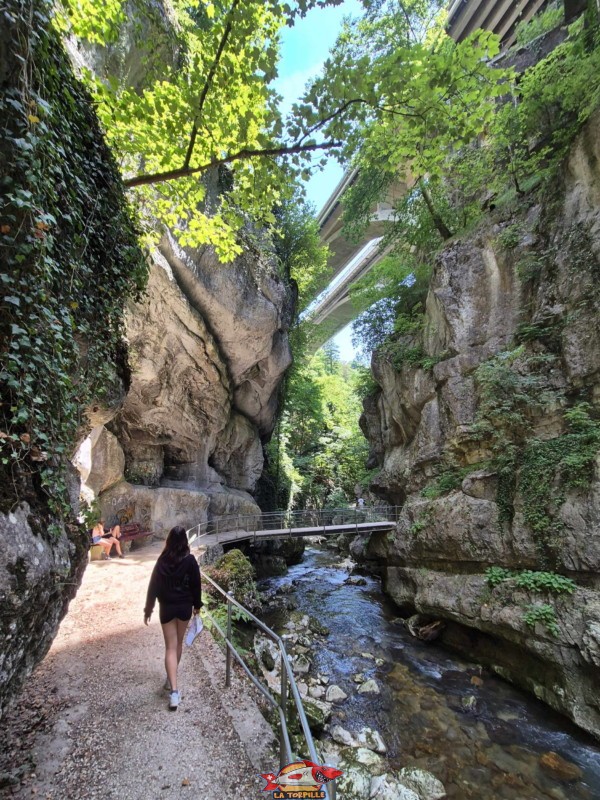 La magnifique vue sur les deux voies de la route principale E27 entre Bienne et Delémont. Les gorges du Taubenloch. Bienne.