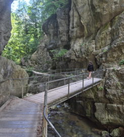 ⛰️ Gorges du Taubenloch – Bienne