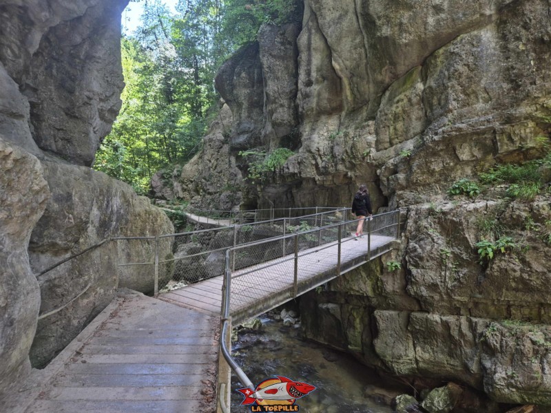 Le pont qui permet de repasser rive droite. Rive droite IIIa. Les gorges du Taubenloch. Bienne.