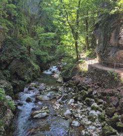 ⛰️ Gorges du Taubenloch – Bienne