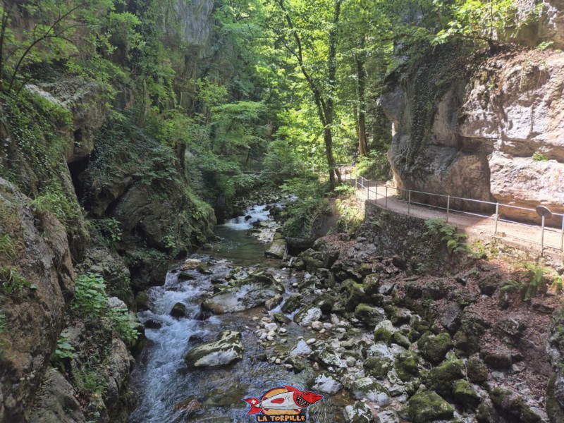 Rive droite IIIa. Les gorges du Taubenloch. Bienne.