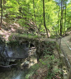 ⛰️ Gorges du Taubenloch – Bienne