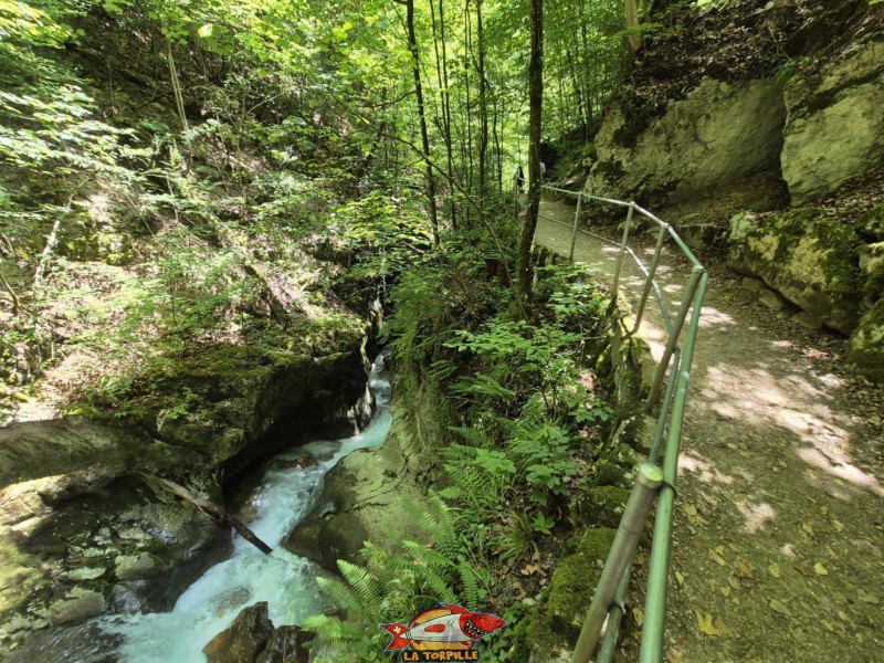 Rive droite IIIa. Les gorges du Taubenloch. Bienne.