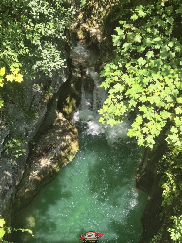 La vue depuis la passerelle menant au parc animalier. Les gorges du Taubenloch. Bienne.