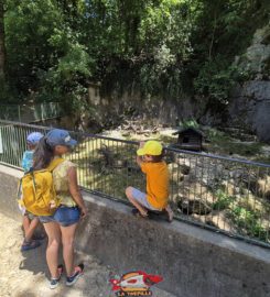 🐅 Parc Zoologique de Bienne