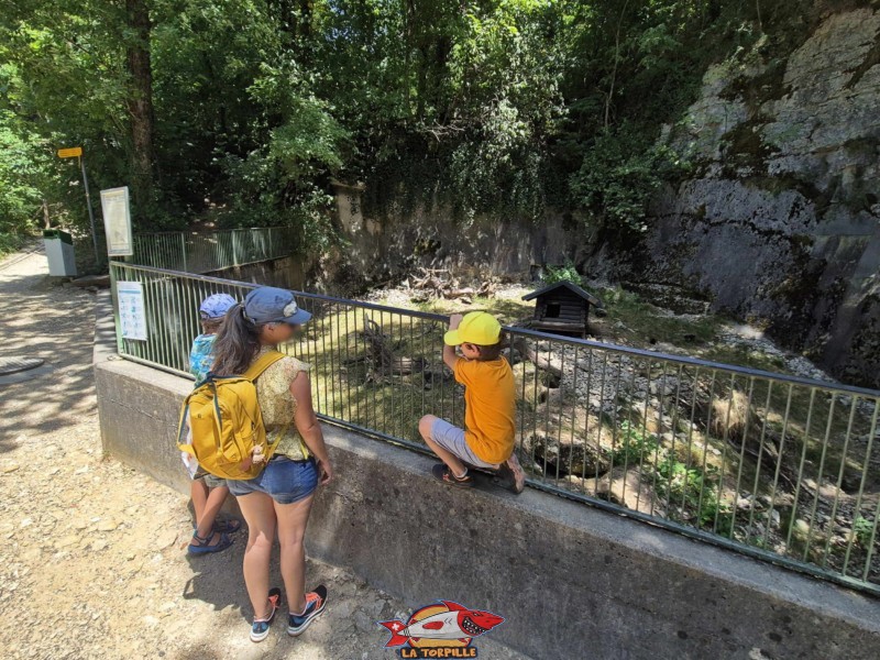 Un enclos du parc animalier. Parc Zoologique Bienne