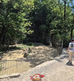 🐅 Parc Zoologique de Bienne