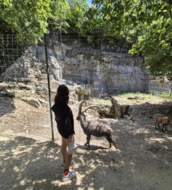 ⛰️ Gorges du Taubenloch – Bienne