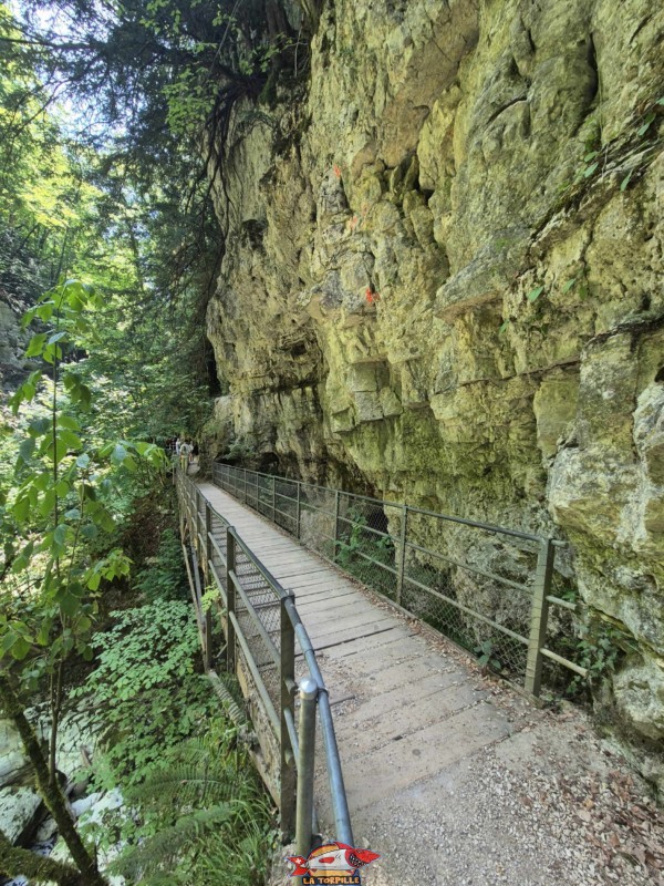 Rive droite III b. Les gorges du Taubenloch. Bienne.