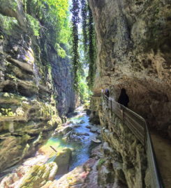⛰️ Gorges du Taubenloch – Bienne