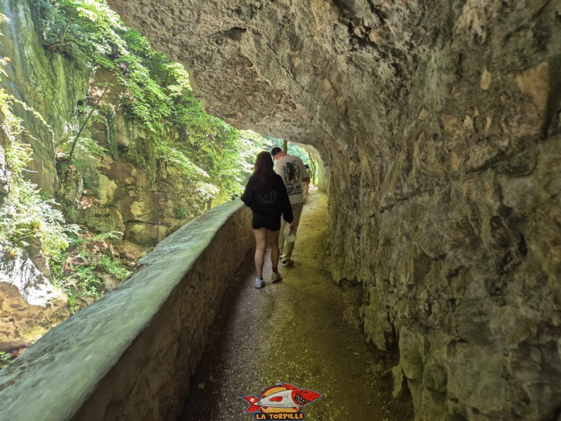 Rive droite III b. Les gorges du Taubenloch. Bienne.