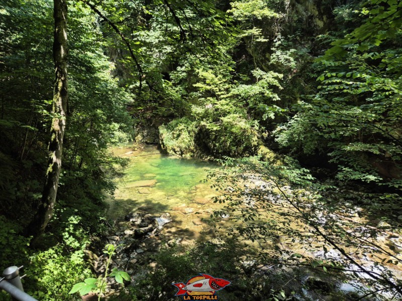 Rive droite III b. Les gorges du Taubenloch. Bienne.