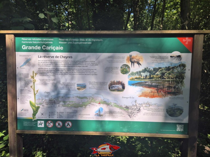 Un panneau didactique sur la réserve de Cheyres au sein de la Grande Cariçaie.