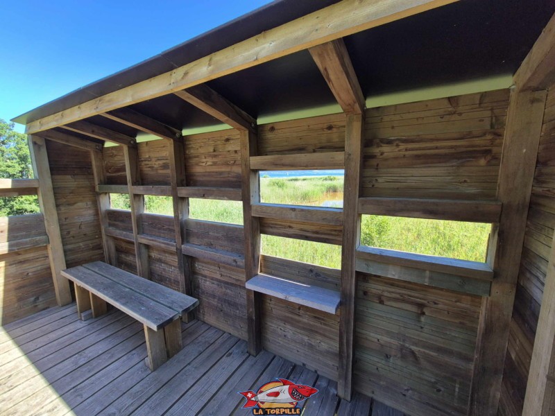 Observatoire de la Faune, Grande Cariçaie, Font, Estavayer, Lac de Neuchâtel.
