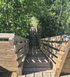 🏖️ Plage de Font I – Estavayer