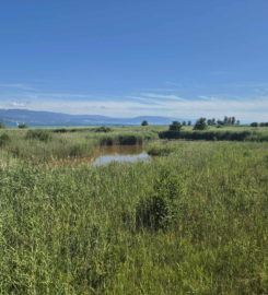 🏖️ Plage de Font I – Estavayer