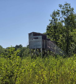 🏖️ Plage de Font I – Estavayer