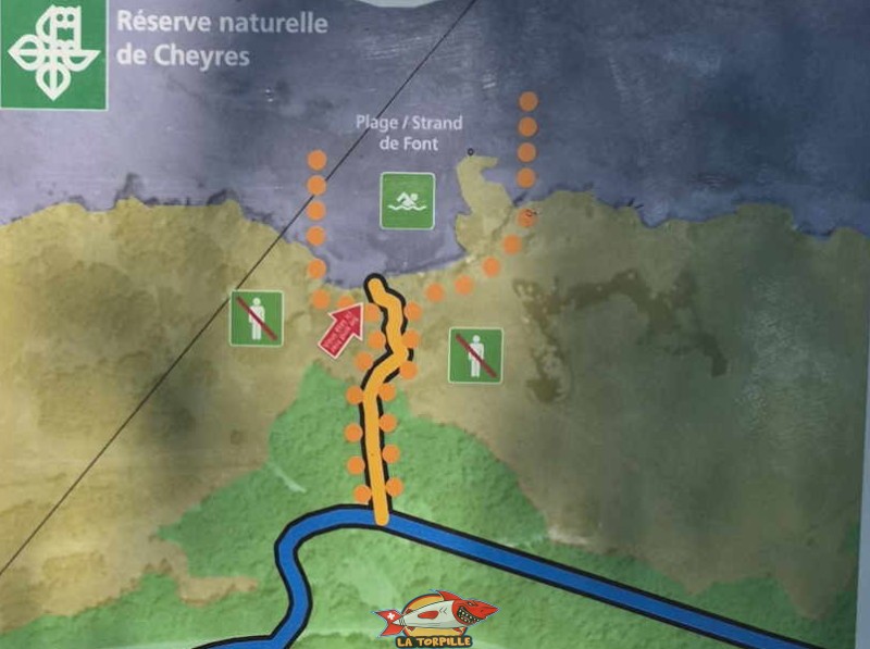 Le chemin en gravier en bleu. L'accès au chemin et à la baignade strictement délimités par des points oranges. Plage de Font I, Grande Cariçaie, Estavayer, Lac de Neuchâtel.