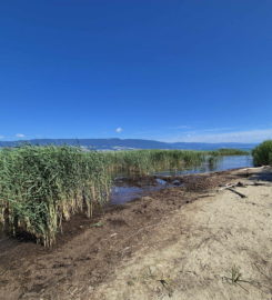 🏖️ Plage de Font I – Estavayer