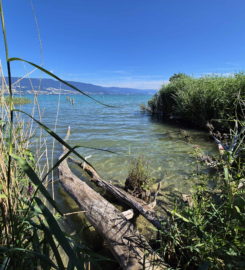 🏖️ Plage de Font I – Estavayer